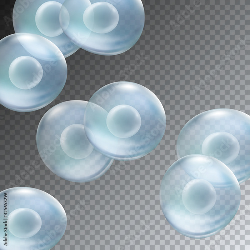 Cell stem science transparent background. Vector medical microscopic molecular illustration. Biology 3d research dna nucleus particles patern..