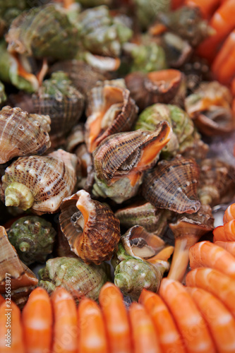 Boiled seashell and shrimp at buffet © mnimage