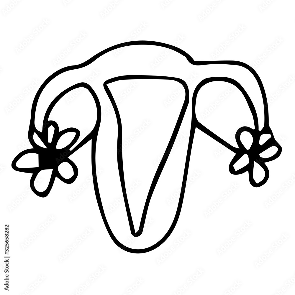 uterus in doodle style on an isolated white background. Women's hygiene and menstruation. Stock vector illustration uterus in doodle style on an isolated white background. Women's hygiene and menstruation. Stock vector illustration