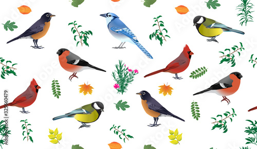 Seamless pattern with birds and leaves in colour image © Viktoria