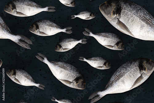 seamless texture of fresh raw atlantic sea fish with shiny silver scales lie on a black wet background with water drops, the concept of cooking seefood photo