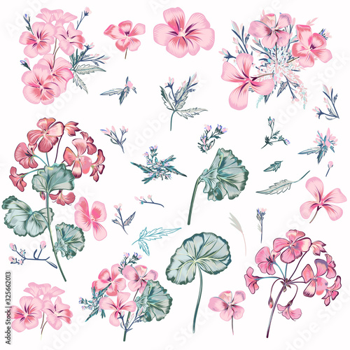 Collection of vector pink flowers and leaves in vintage style for design