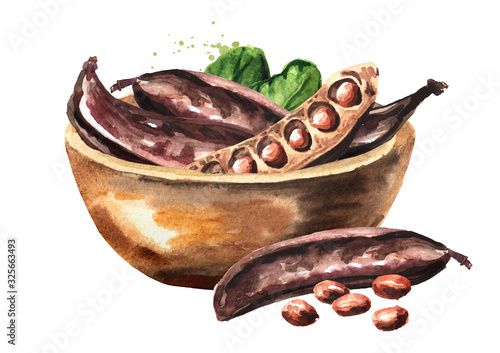 Bowl with Carob pods. Hand drawn watercolor illustration  isolated on white background\ photo