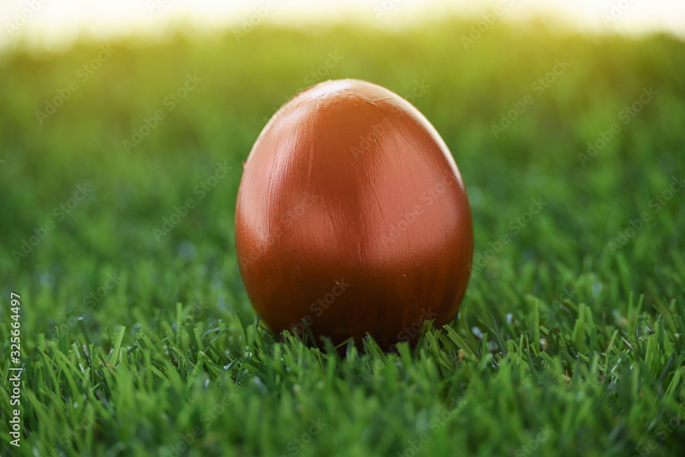 copper gold easter egg on lawn green grass in the morning of springtime copper gold easter egg on lawn green grass in the morning of springtime