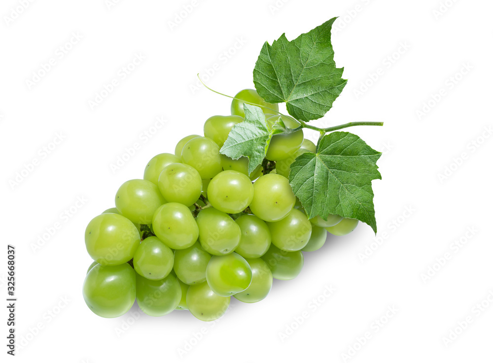 Green grape with leaves isolated on white. Shine Muscat Grape With clipping path. Green grape with leaves isolated on white. Shine Muscat Grape With clipping path.