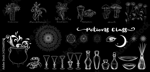 Clip art, set of elements for potions class with cauldron, wine glasses, bottles, magician plants and sacred geometry and symbols. Outline vector illustration..