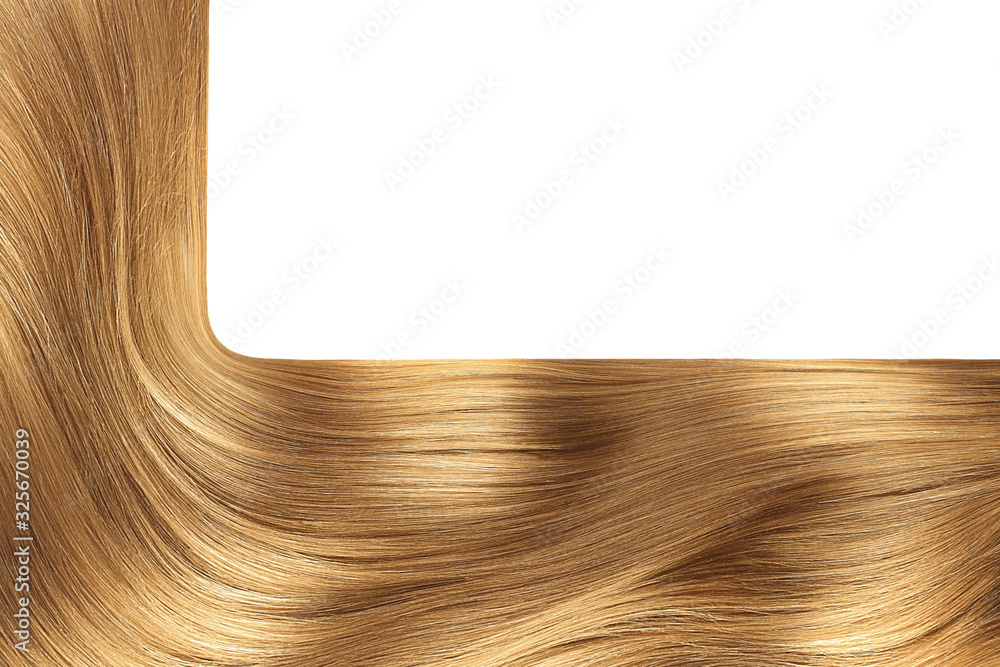 Brown hair on white, isolated. Background with copy space Brown hair on white, isolated. Background with copy space