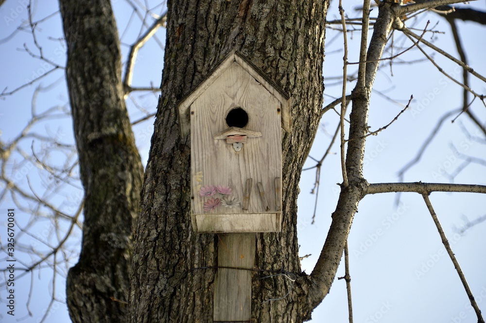 Wooden birdhouse with flowers. It hanging on the tree on sky background. Front view Wooden birdhouse with flowers. It hanging on the tree on sky background. Front view