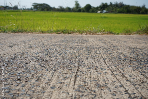 Concrete roads in rural areas in Thailand Backdrop of rice