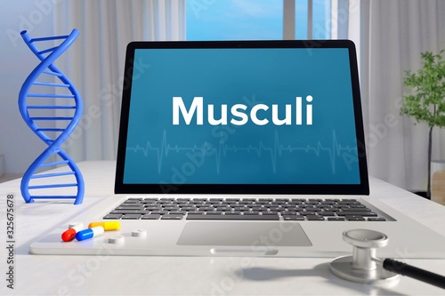 Musculi – Medizin, Gesundheit. Computer im Büro mit Begriff auf dem Bildschirm. Arzt, Gesundheitswesen
