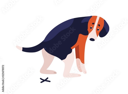 Short haired dog beagle breed during shitting vector flat illustration. Cute spotted colorful doggy pooping isolated on white background. Domestic animal having defecation problem
