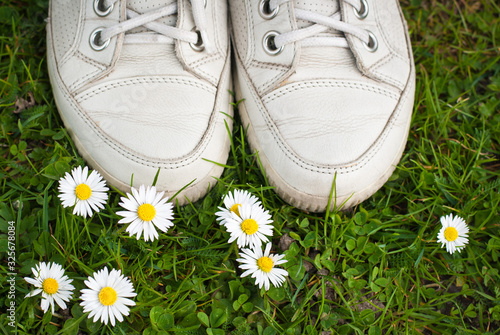 White sneakers on a background of green grass. Green lawn with daisies. 