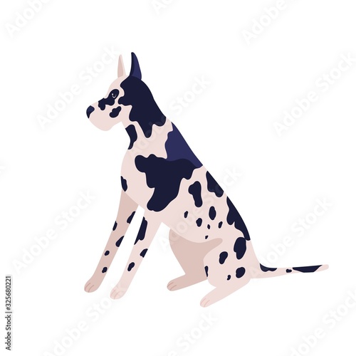 Cute cartoon german dog sitting vector flat illustration. Adorable spotted black and white domestic animal posing isolated on white background. Cute thoroughbred pet