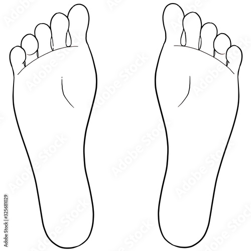 Left and right foot soles contour illustration for biomechanics, footwear, shoe concepts, medical, health, massage, spa, acupuncture. 
