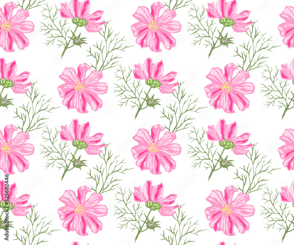 Seamless floral pattern with Cosmos bipinnatus. Hand drawing decorative background. Vector pattern. Print for textile, cloth, wallpaper, scrapbooking