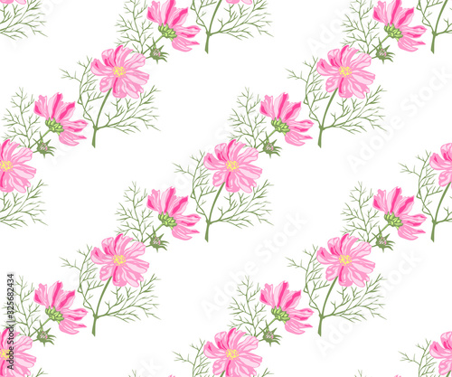 Seamless floral pattern with Cosmos bipinnatus. Hand drawing decorative background. Vector pattern. Print for textile  cloth  wallpaper  scrapbooking
