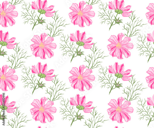Seamless floral pattern with Cosmos bipinnatus. Hand drawing decorative background. Vector pattern. Print for textile  cloth  wallpaper  scrapbooking