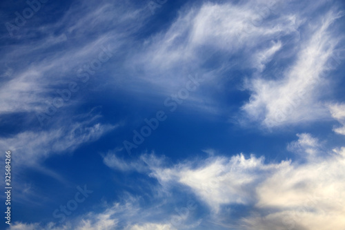 Fototapeta Naklejka Na Ścianę i Meble -  Feather clouds background