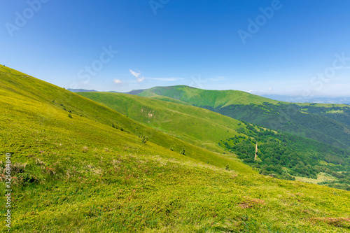 green rolling hills of mountain ridge borzhava. grassy alpine meadows beneath a blue sky with some clouds. beautiful summer landscape of carpathian highlands. velykyy verkh summit in the distance