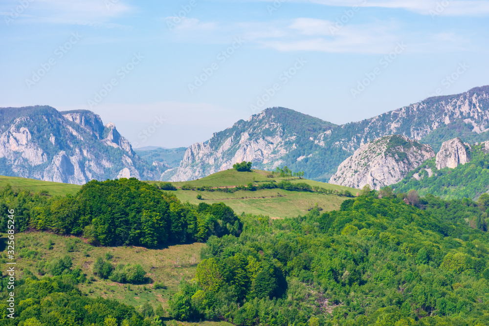 gorges and mountains of Romanian countryside. beautiful rural landscape of valea Manastirii in Alba country. wonderful sunny weather in springtime. 