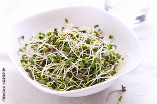 Radish microgreen in bowl