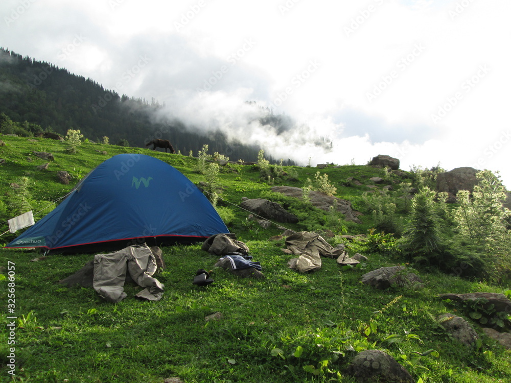 Tourist tent in mountains camp among meadow