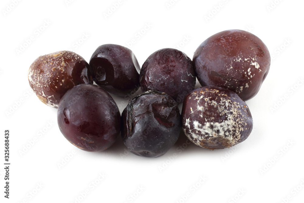 Rotten plums isolated on white Rotten plums isolated on white