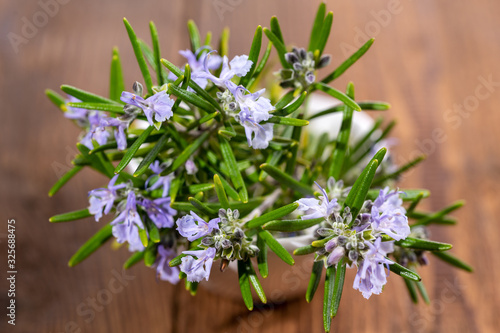 Fresh purple blooming rosemary twigs on a rustic wooden background
