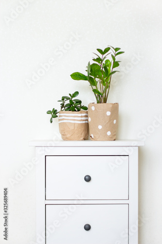 potted plants wrapped in tap paper on a white dresser in a bright room