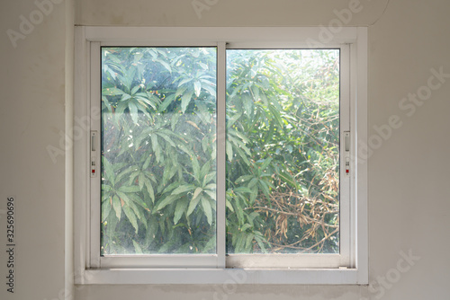 Sliding glass window that looks out to the mango tree.