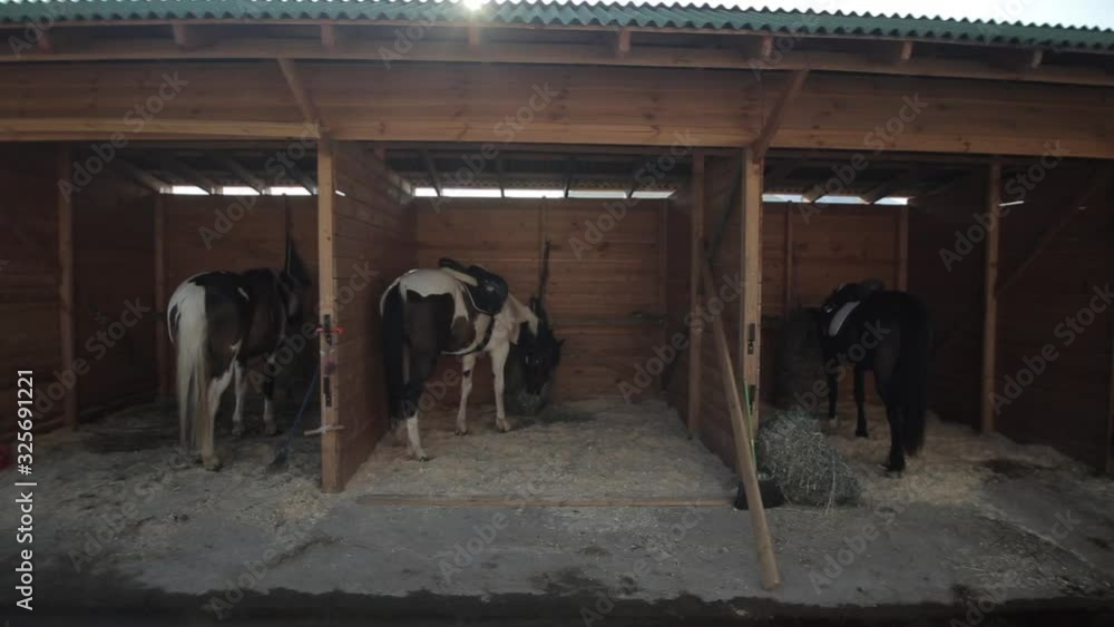 Horse stables with wooden doors and horses. Moving camera. sun shines