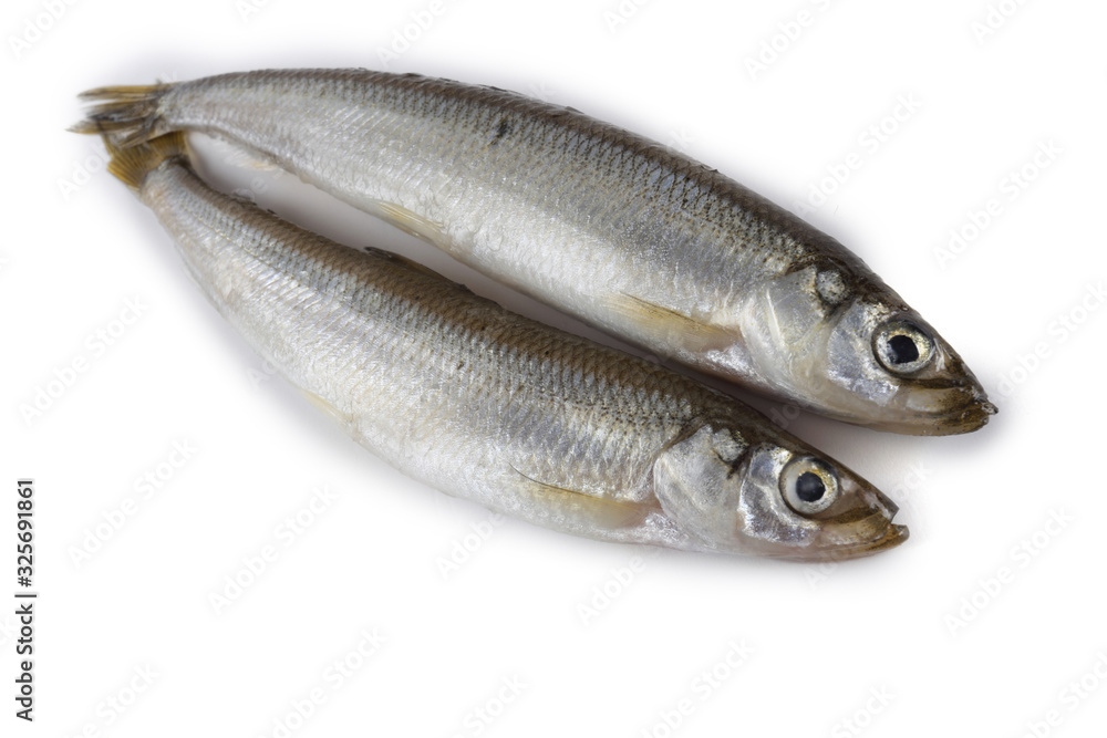 Smelt fish isolated on white. Pacific smelt variety Smelt fish isolated on white. Pacific smelt variety