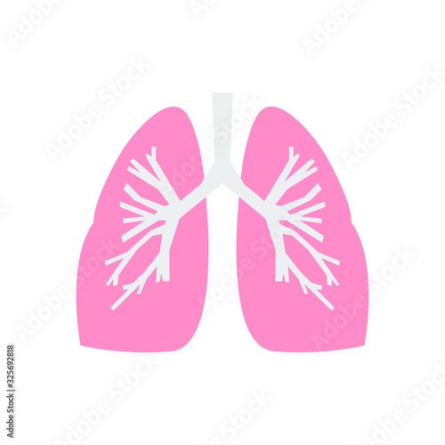 Isolated lung icon on a white background.