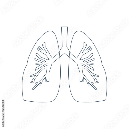 Isolated lung icon on a white background.