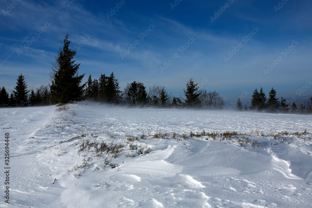 Fototapeta premium snow blizzard in the mountains at sunny day