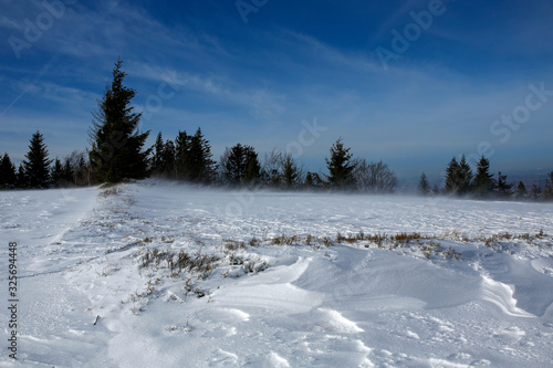 Fototapeta Naklejka Na Ścianę i Meble -  snow blizzard in the mountains at sunny day