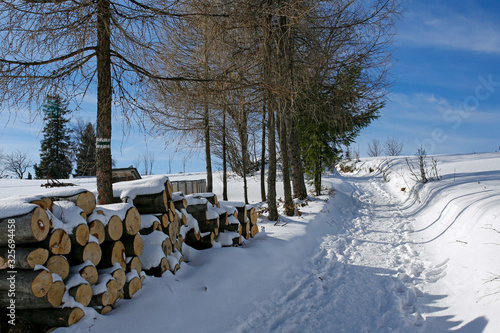 Fototapeta Naklejka Na Ścianę i Meble -  snowy winter road at the mountains