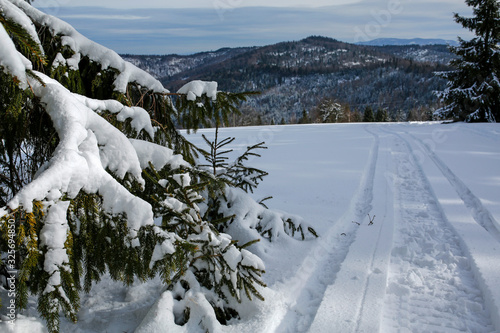 Fototapeta Naklejka Na Ścianę i Meble -  panoramic winter mountain landscape