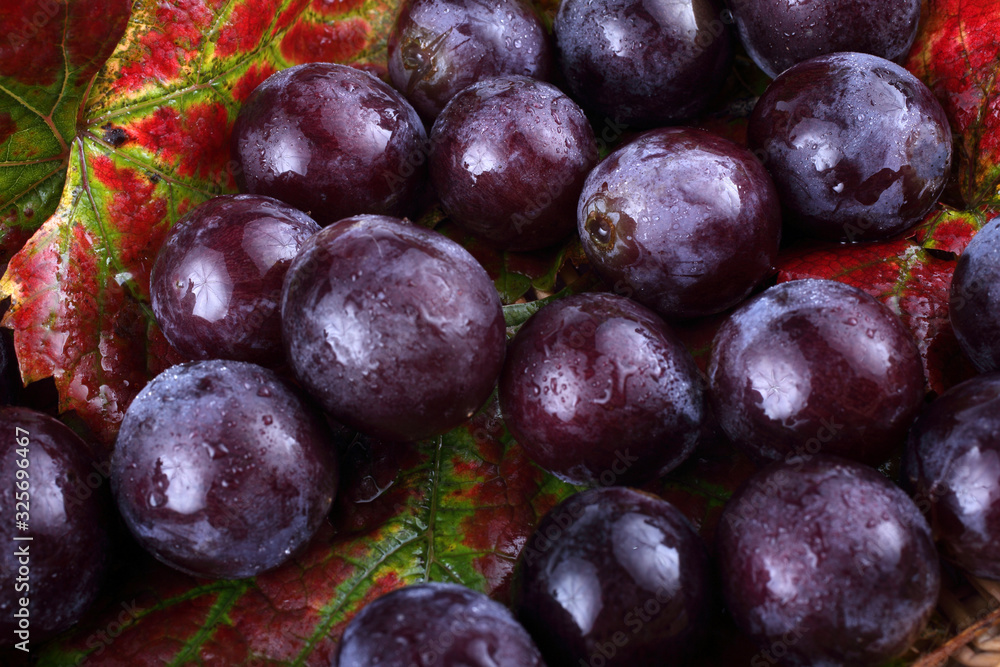 Grape on autumn leaves background Grape on autumn leaves background