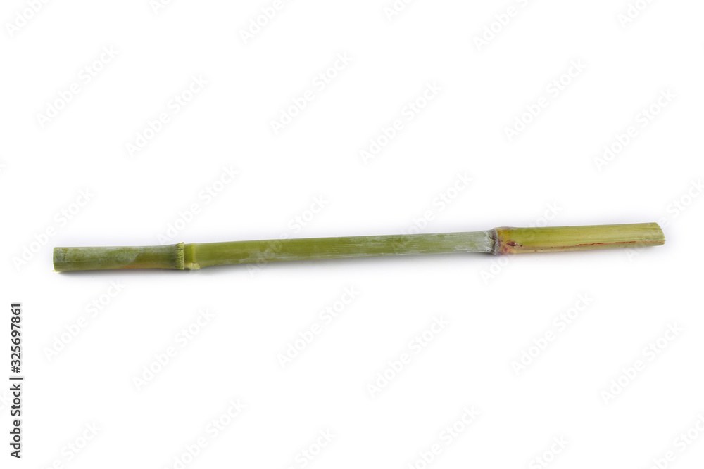 Fototapeta premium Sugar cane isolated on white