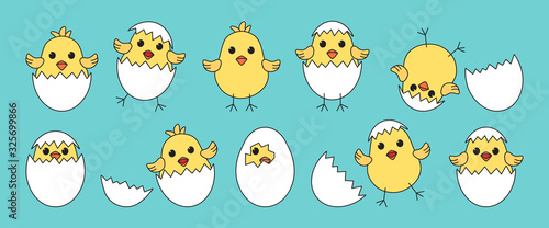 Easter baby chickens, cartoon eggs chick and shell on blue background. Vector illustration