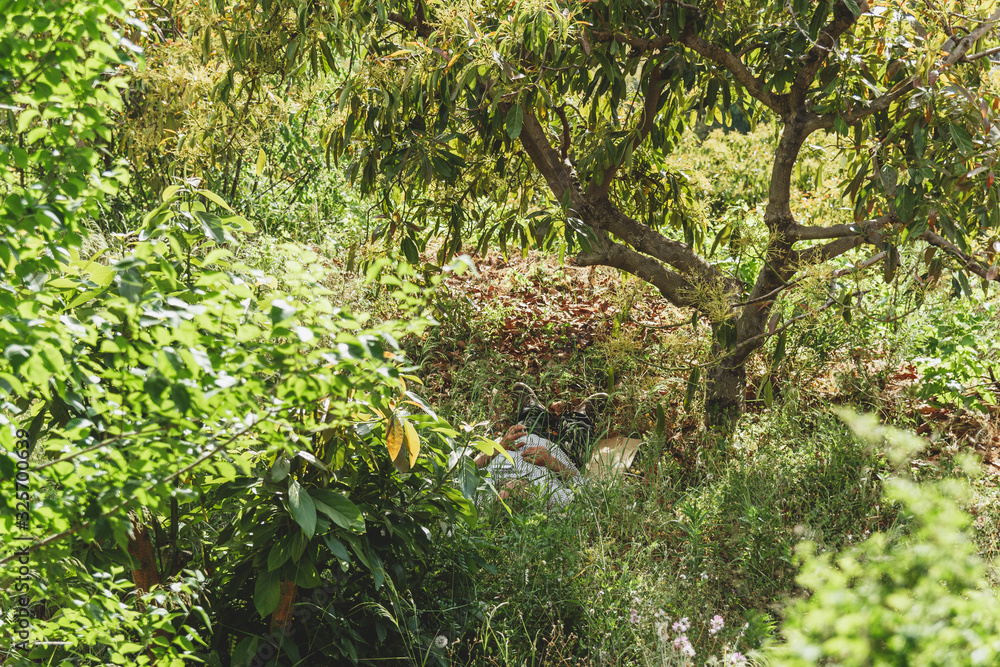 Farmer at the time of the nap. Frigiliana, Andalucia, Spain.