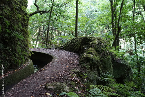 Levada da Ribeira da Janela (Porto Moniz) photo