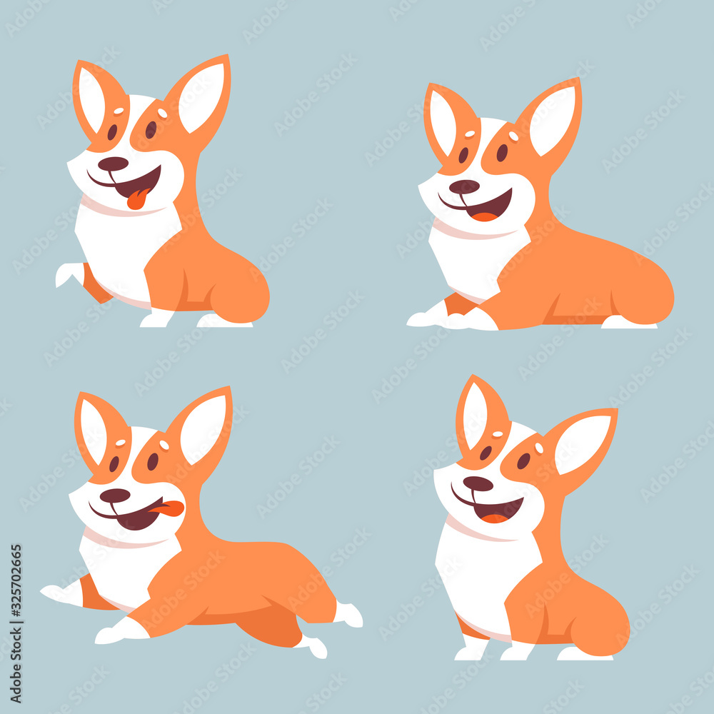 Set of Corgi dogs in different poses. Flat style illustration with isolated objects.
