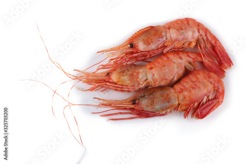 Big shrimps isolated on white