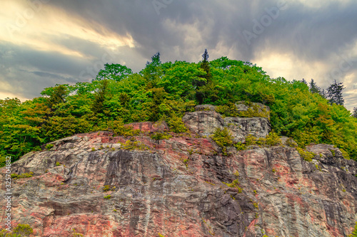 Trees growing on solid rock. photo