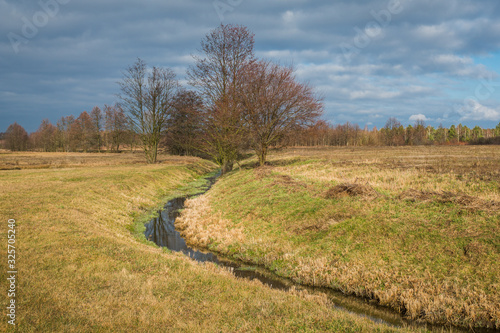 Small river at sunny day somewhere in Masovia, Poland photo