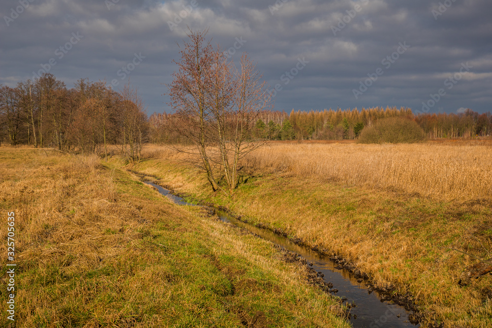 Small river at sunny day somewhere in Masovia, Poland