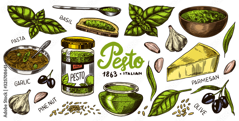 Pesto sauce set. Basil leaves, garlic, pine nuts, hard parmesan cheese, olive oil, pesto alla genovese. Spicy condiment, glass bottle, wooden spoon or dish, bunch of seeds. Engraved hand drawn sketch. - obrazy, fototapety, plakaty 