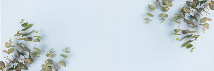 Frame made of eucalyptus branches on a blue pastel background. Banner template with place for text.
